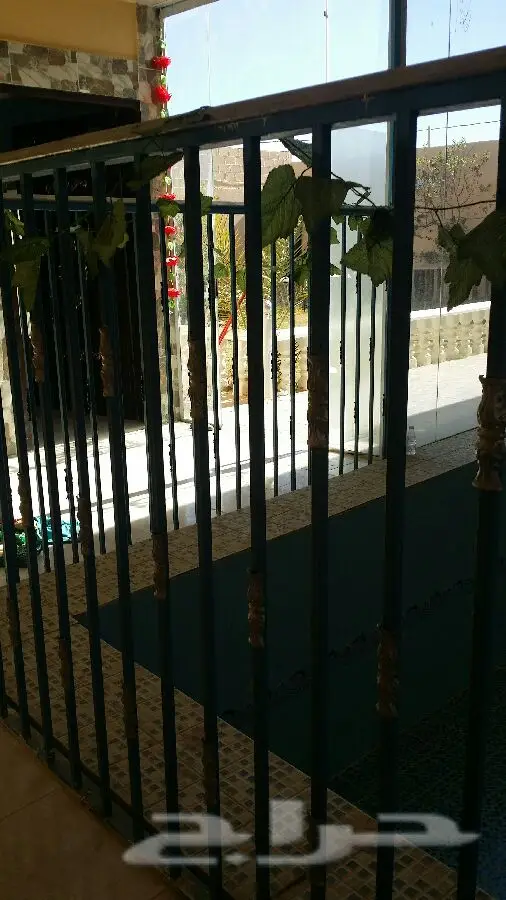 منتجع ومخيم للإيجار اليومي - متعة لا تُضاهى! (image 31)