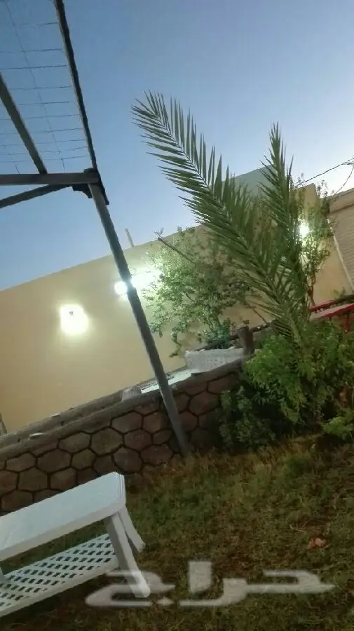 منتجع ومخيم للإيجار اليومي - متعة لا تُضاهى! (image 33)