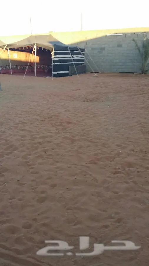 منتجع ومخيم للإيجار اليومي - متعة لا تُضاهى! (image 15)