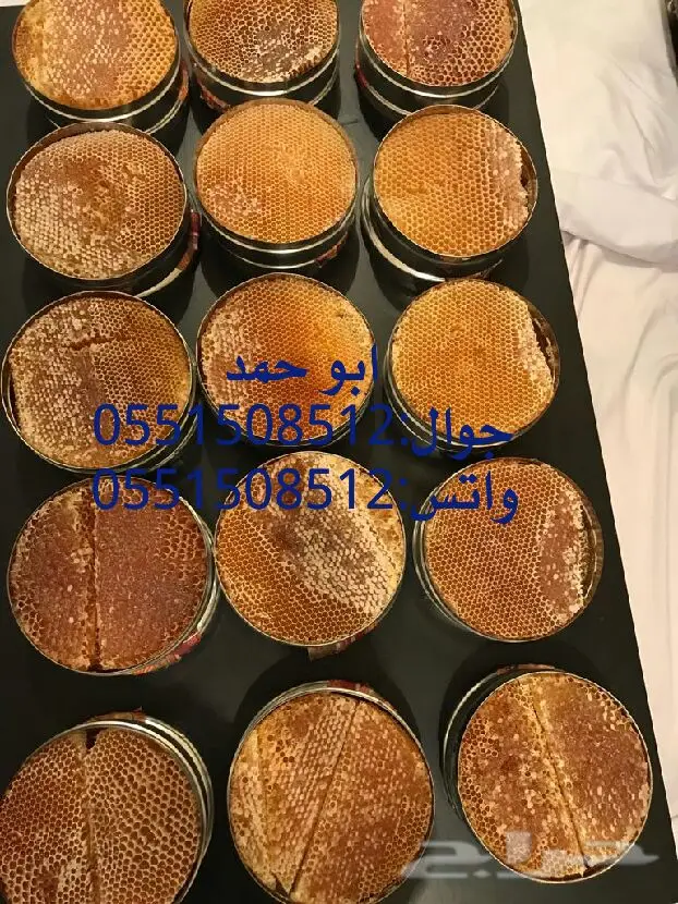 عسل سدر حضرمي أصلي - دوعني 1439 (image 13)