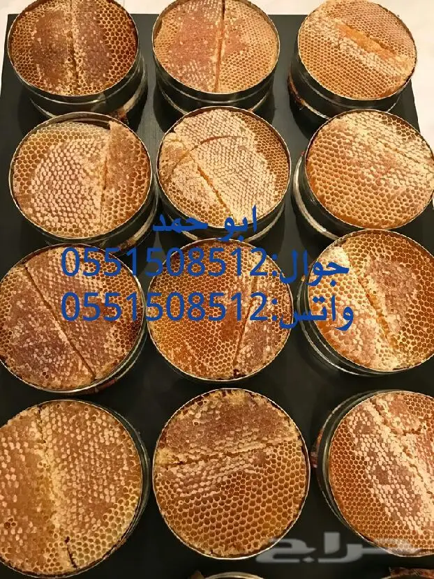 عسل سدر حضرمي أصلي - دوعني 1439 (image 19)