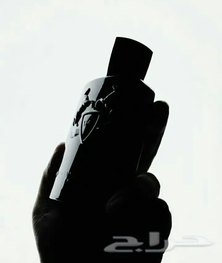 عطور الفخامة بأسعار لا تقاوم! 35 ريال فقط! (image 7)