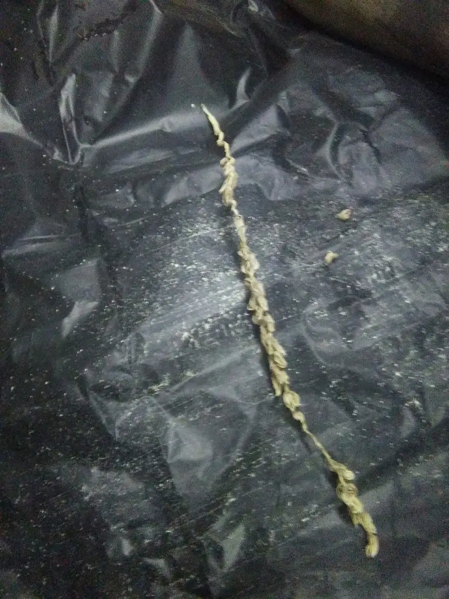 بار لقاح نخل - فرصة ذهبية!