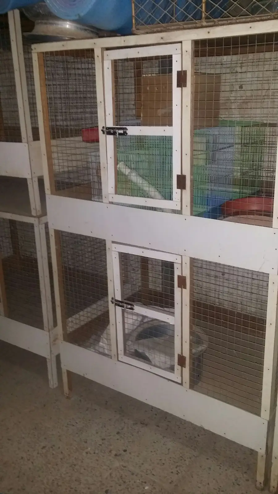 شبكات حمام ودجاج وأرانب - حالة ممتازة! (image 2)