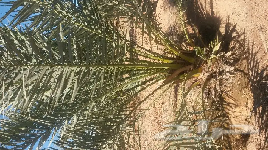 للبيع - فرصة لا تُفوّت!