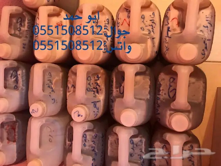 عسل سدر حضرمي أصلي ١٤٣٩ - دوعني ذو قيمة (image 12)