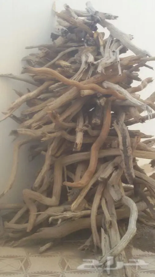 عفيف حطب غمارة