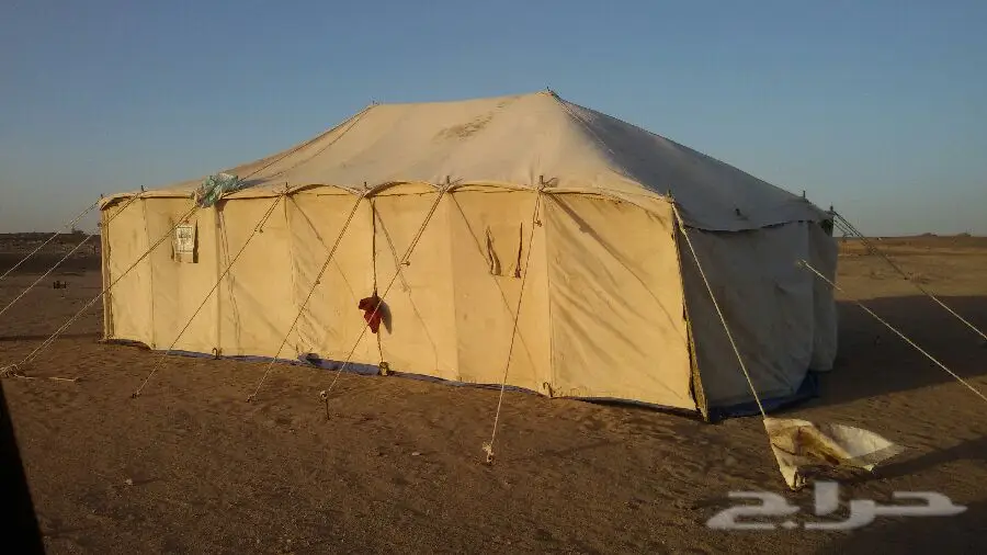 عفيف
خيمة 5 8