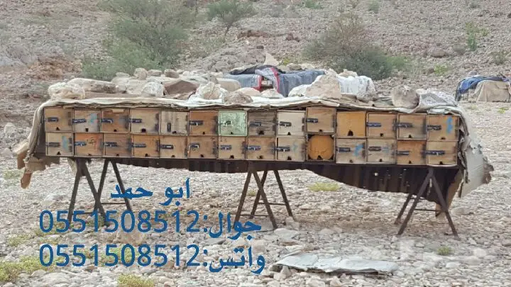 عسل سدر حضرمي دوعني أصلي 1439 - جودة وذمة (image 53)