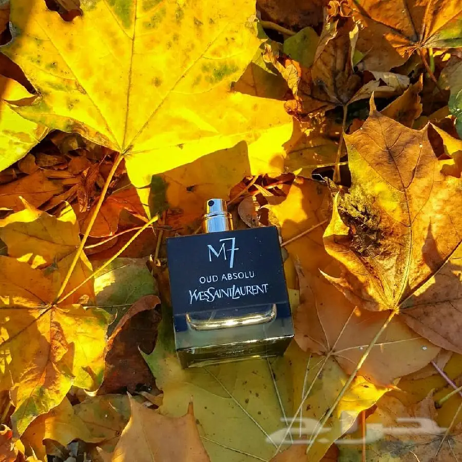 عطور فاخرة بأسعار لا تصدق! 35 ريال فقط! (image 9)