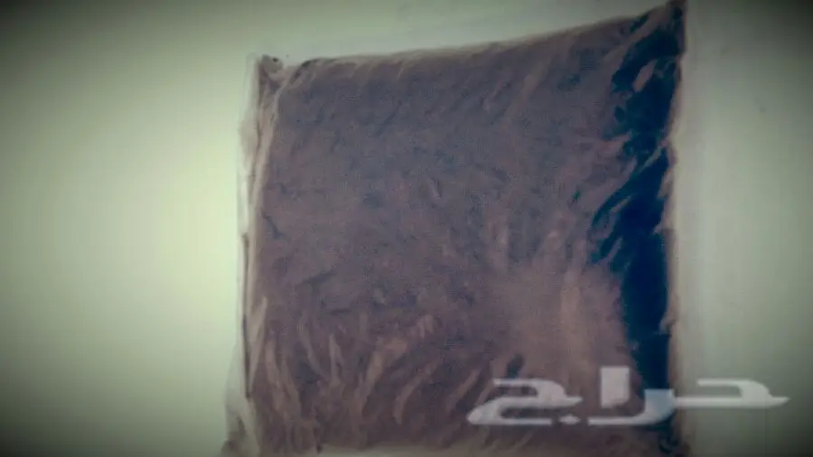 جده - فرد شعر مضمون ومجرب 