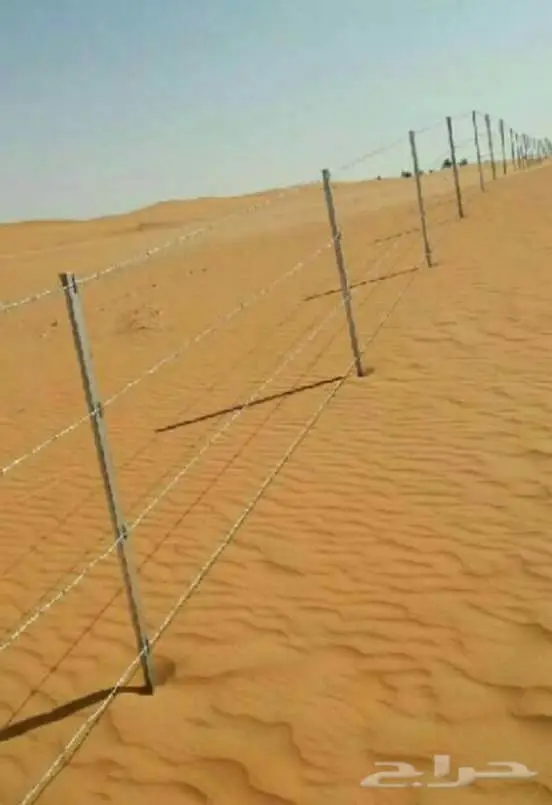 شبكات وحماية نخيل - تركيب احترافي! (image 1)