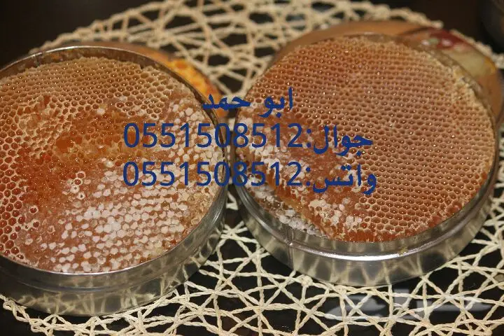 عسل سدر حضرمي أصلي - دوعني 1439 (image 40)