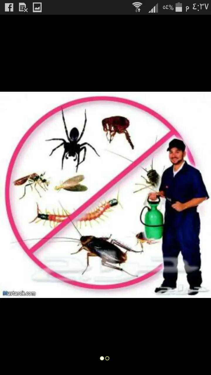 شركة متخصصة في مكافحة الحشرات وتنظيف الكنب والخزانات