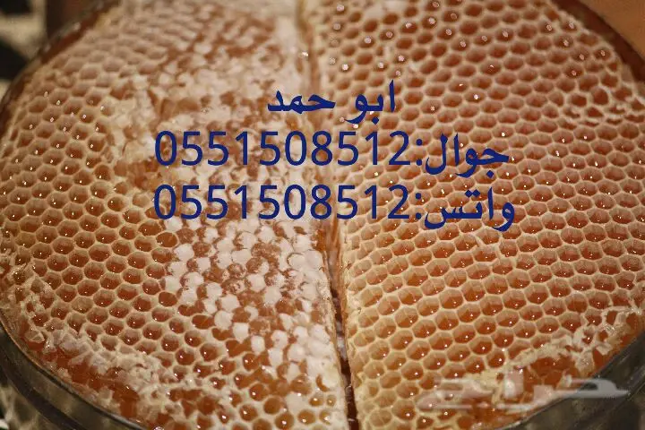 عسل سدر حضرمي أصلي - دوعني 1439 (image 39)