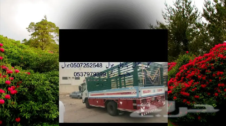 نقل عفش باكستاني فك وتركيب