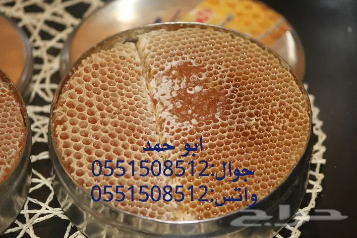 عسل سدر حضرمي أصلي - دوعني 1439 (image 37)