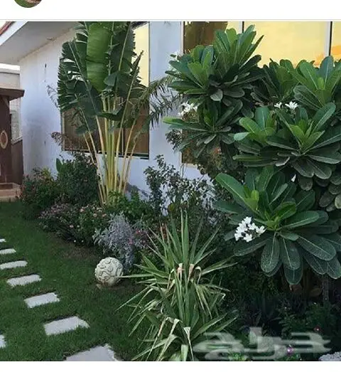 مشاتل تنسيق حديق تصميم فلل وقصور واستراحة 