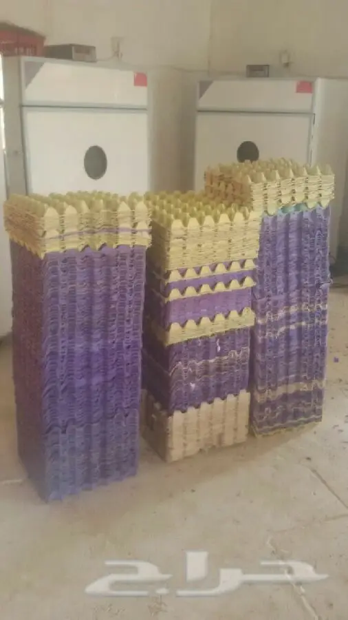 اطباق بيض للبيع