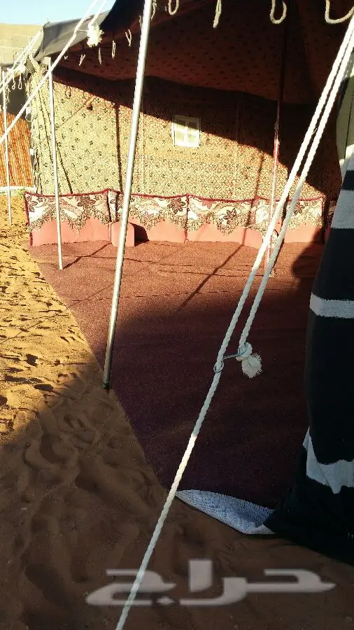  للإيجار اليومي منتزه ومخيم بسعر مغري 250ريال (image 41)