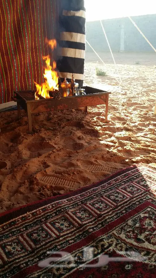  للإيجار اليومي منتزه ومخيم بسعر مغري 250ريال (image 37)