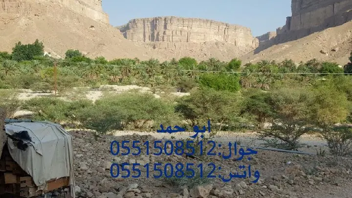 عسل سدر حضرمي دوعني 1439اصلي وذمه توصيل مجانا (image 50)