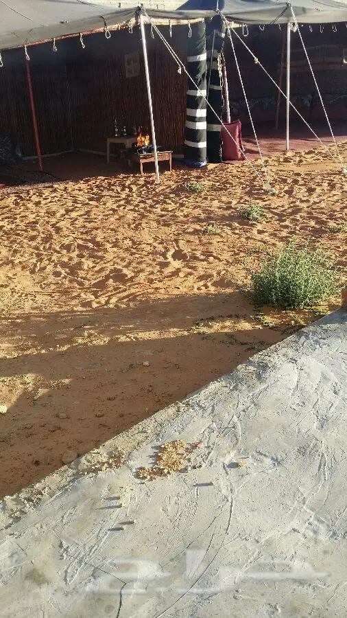  للإيجار اليومي منتزه ومخيم بسعر مغري 250ريال (image 33)