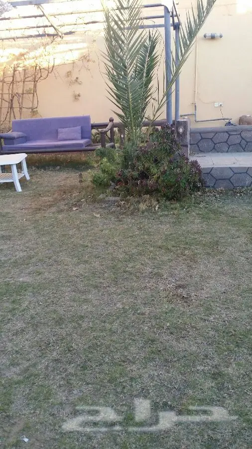 استأجر منتزه ومخيم الجنادرية النسائي - متعة لا مثيل لها! (image 21)