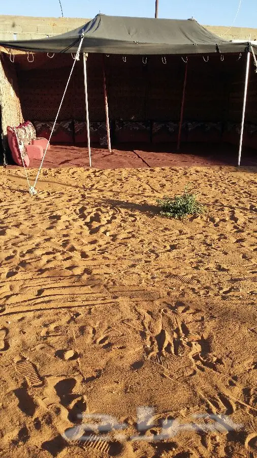 استأجر منتزه ومخيم الجنادرية النسائي - متعة لا مثيل لها! (image 25)