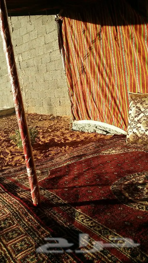 استأجر منتزه ومخيم الجنادرية النسائي - متعة لا مثيل لها! (image 10)