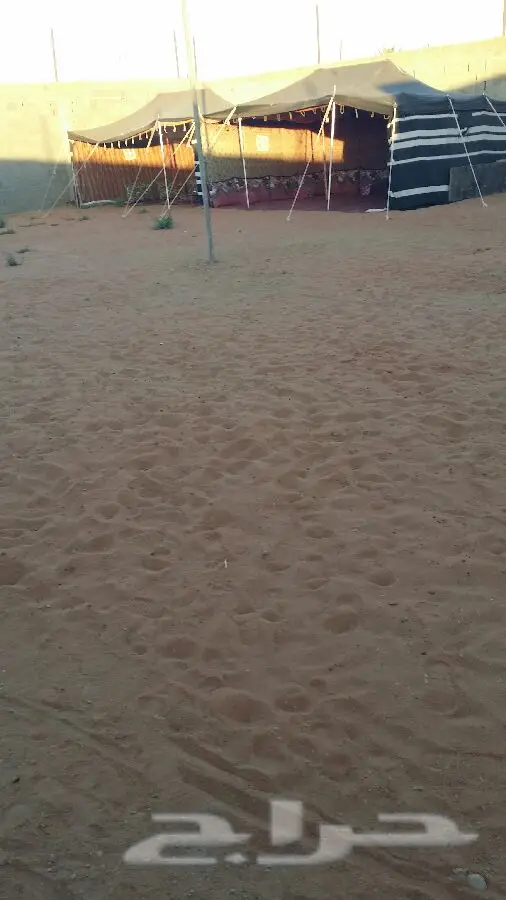 منتزه ومخيم الجنادرية - جنة عائلتك في تبوك! (image 10)