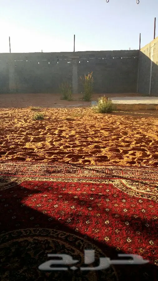 منتزه ومخيم الجنادرية - جنة عائلتك في تبوك! (image 15)