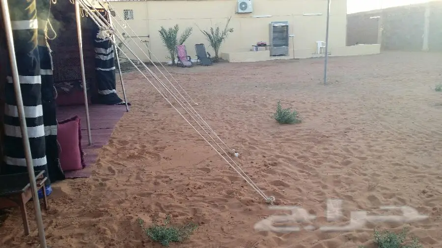 منتزه ومخيم الجنادرية - جنة عائلتك في تبوك! (image 5)