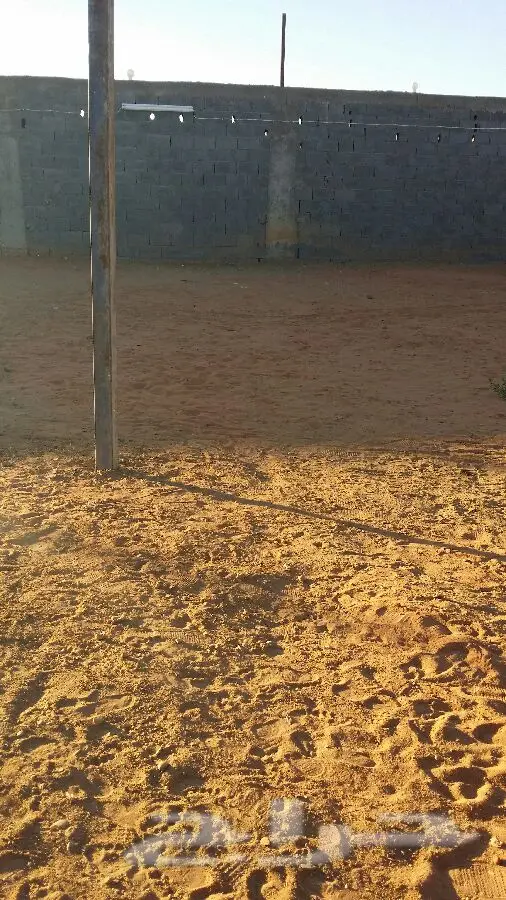 منتزه ومخيم الجنادرية - جنة عائلتك في تبوك! (image 26)