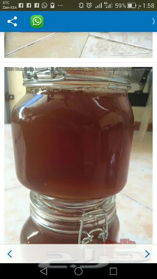 عسل البشري: سر التسمين الطبيعي والآمن! (image 4)