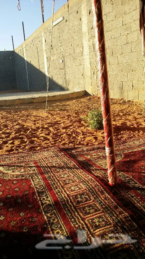 منتزه ومخيم الجنادرية - جنة عائلتك في تبوك! (image 14)