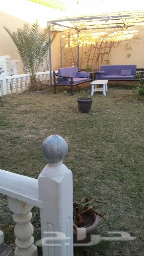 منتزه ومخيم الجنادرية - جنة عائلتك في تبوك! (image 19)