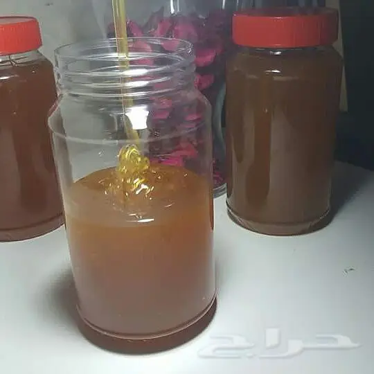 عسل سدر حضرمي