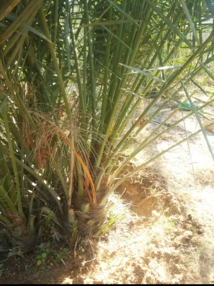 فسائل اخلاص - فرصة لا تُفوّت! (image 5)