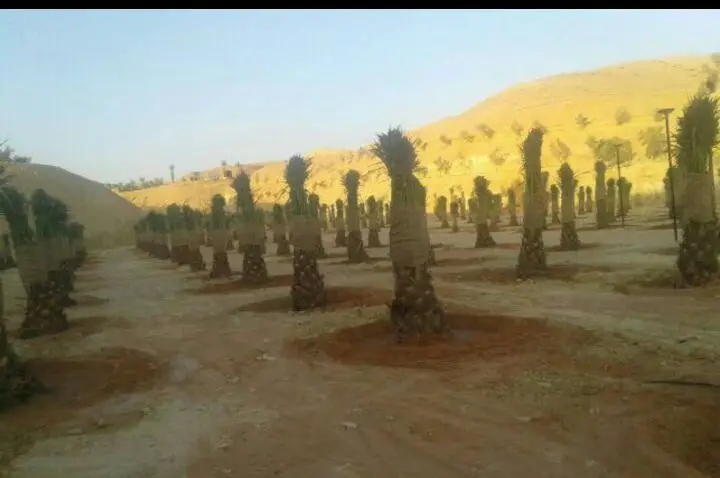 فسائل اخلاص - فرصة لا تُفوّت!