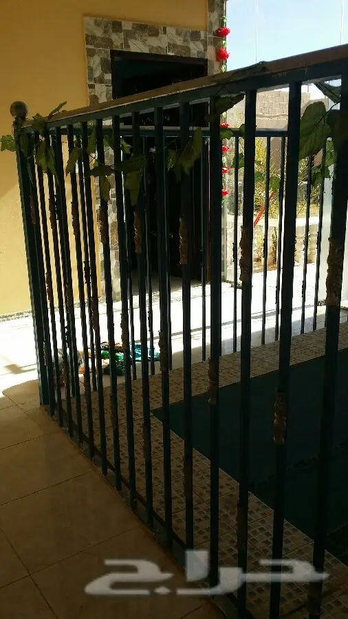 عرض حصري: منتزه ومخيم فاخر بأيام شتوية لا تُنسى! (image 43)