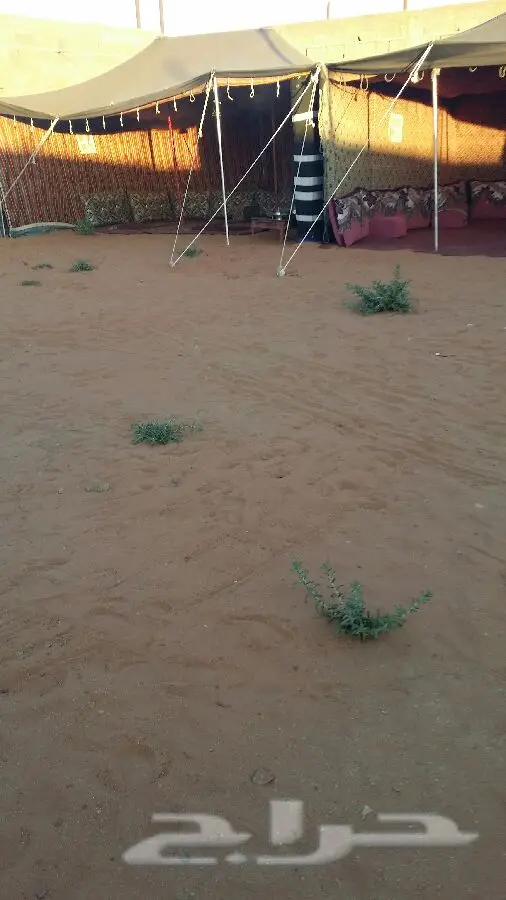 عرض حصري: منتزه ومخيم فاخر بأيام شتوية لا تُنسى! (image 13)