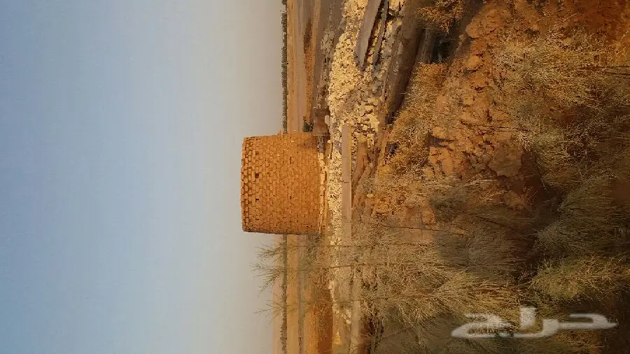 سباك متخصص في أعمال بروج الحمام من الطين (image 2)