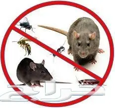 حصريًا: رش مبيدات فعال ومضمون بالرياض! (image 3)