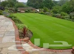 حدائق الحجاز: تحويل أسطحكم إلى جنات من الخضرة! (image 53)