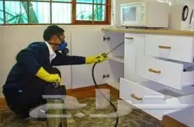 افضل شركة لرش المبيدات بالرياض  (image 8)