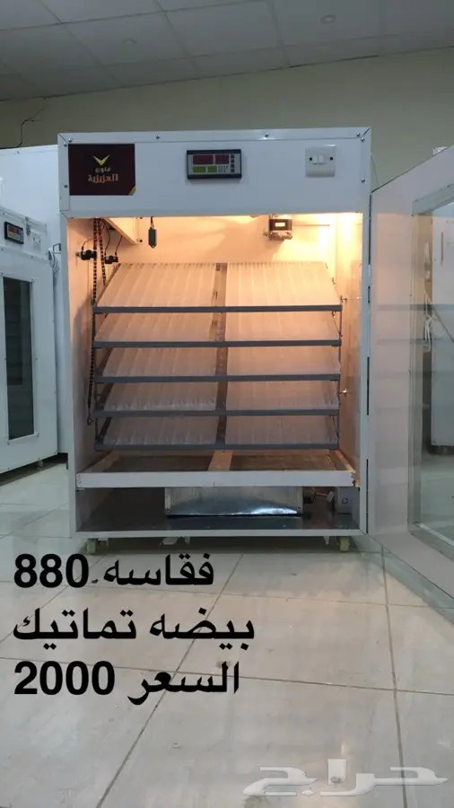فقاسات دجاج نعام بط رومي سمان (image 3)