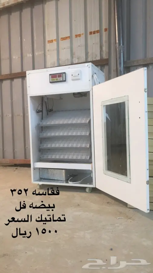 فقاسات دجاج نعام بط رومي سمان (image 4)