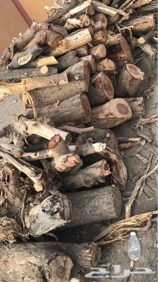 حطب طلح للبيع