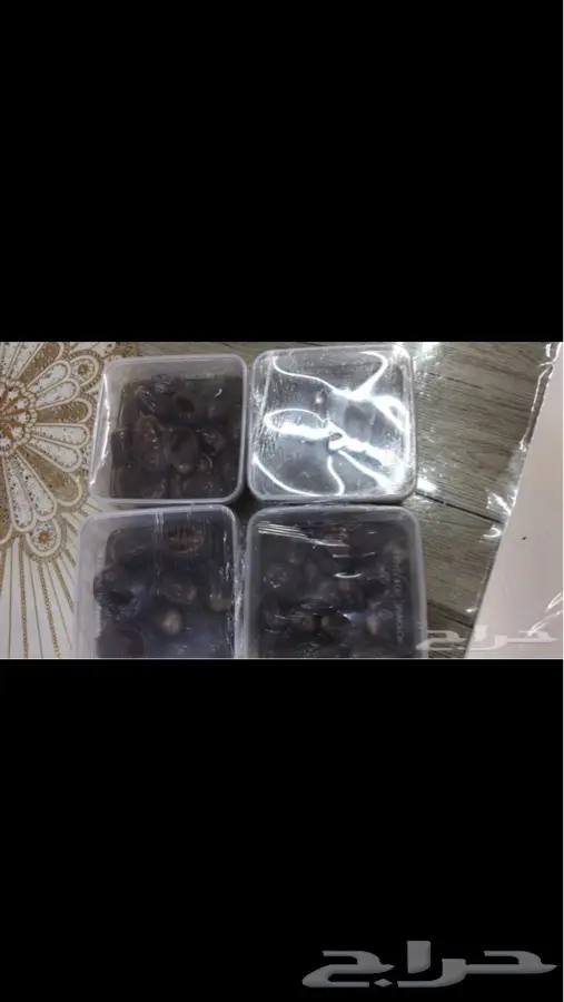 لايطوفكم مقدوس ام سعيد طازه وشغل بيت (image 6)